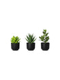 Image for Succulent Artificial In Pot