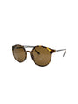 Image for Sunglasses