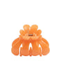 Image for Hair Clips