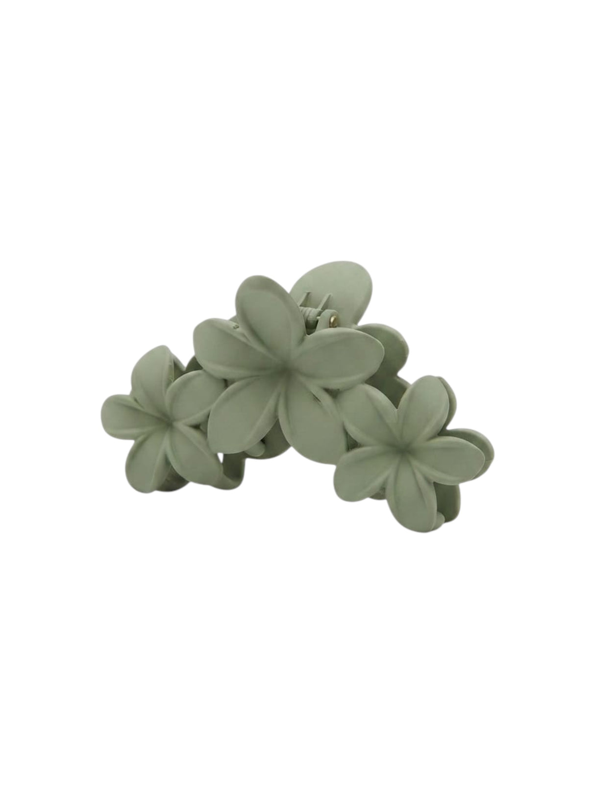 Image for Hair Clips