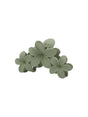 Image for Hair Clips