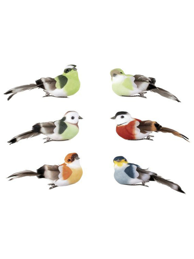 Image for Decorative Clips Birds Naturalistic Colorful