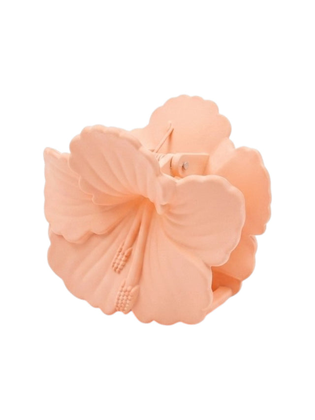 Image for Hair Clips