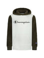 Image for Kids Boy's Brand Logo Printed Hoodies,Beige/Olive