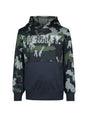 Image for Kids Boy's Brand Logo Printed Hoodies,Multi