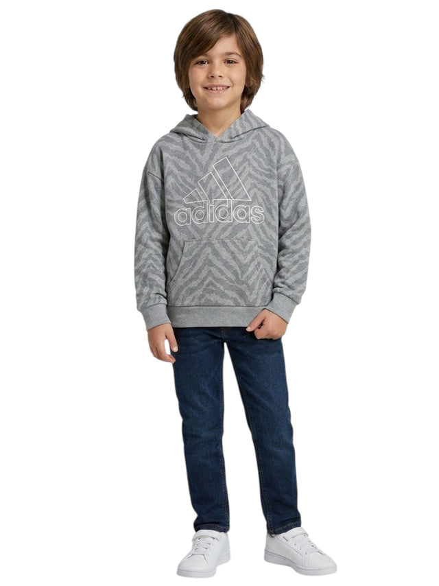 Image for Kids Boy's Brand Logo Printed Hoodies,Grey