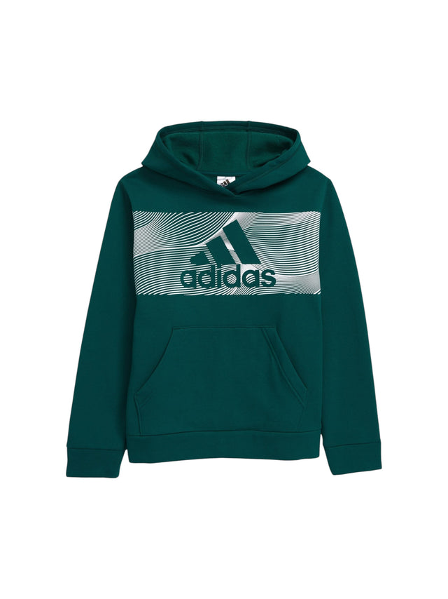 Image for Kids Boy's Brand Logo Printed Hoodies,Dusty Green