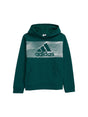Image for Kids Boy's Brand Logo Printed Hoodies,Dusty Green