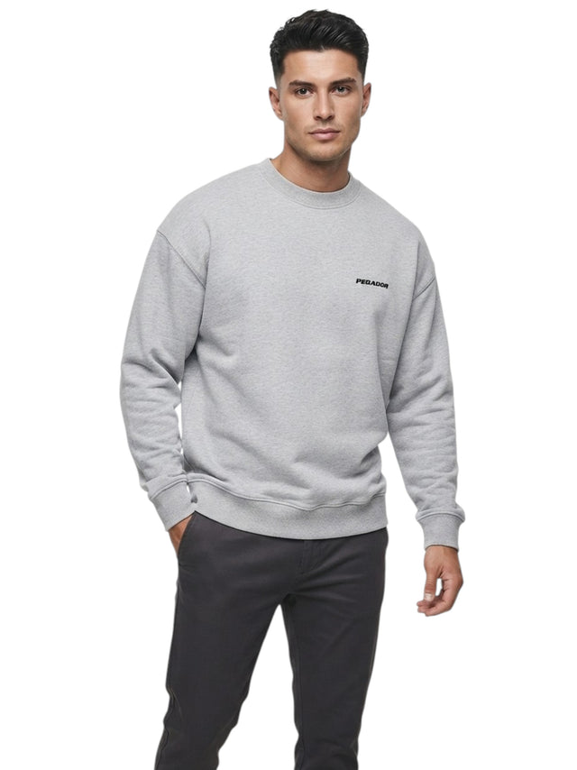 Image for Men's Brand Logo Printed Sweaters,Grey