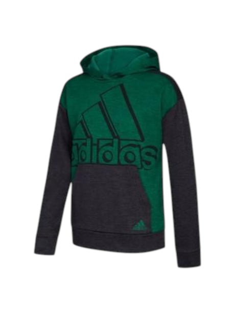 Image for Kids Boy's Brand Logo Printed Hoodies,Green