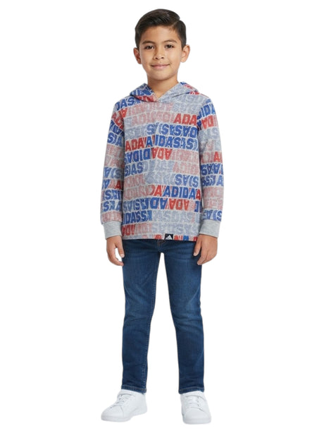Image for Kids Boy's Printed Hoodies,Grey