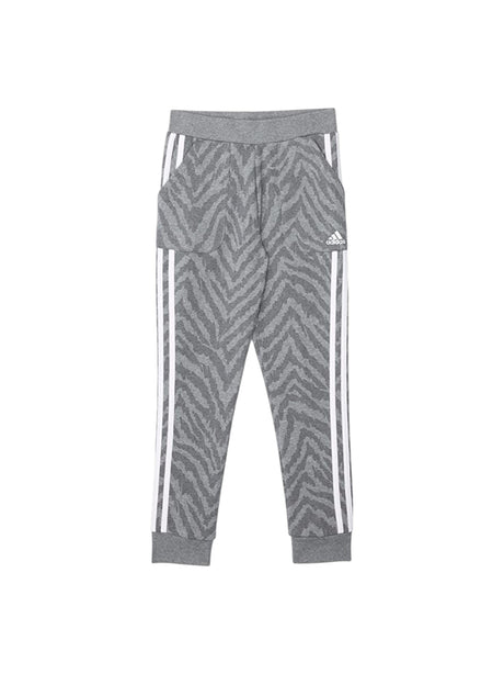 Image for Kids Boy's Printed Pants,Grey