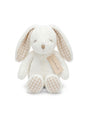 Image for Plush Bunny Toy