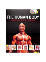 Image for Did You Know.: The Human Body