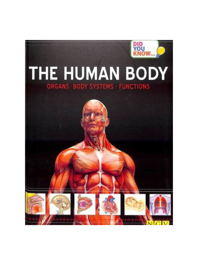 Image for Did You Know.: The Human Body