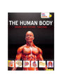 Image for Did You Know.: The Human Body