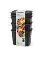 Image for Storage Containers