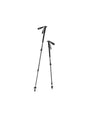 Image for Aluminum Hiking Poles