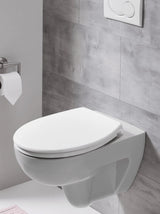 Duroplast Toilet Seat