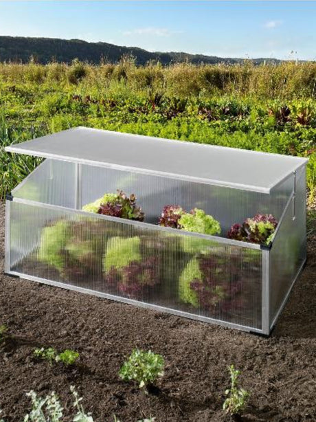 Cold Frame
