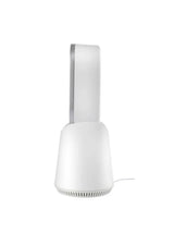 Desk Fan
