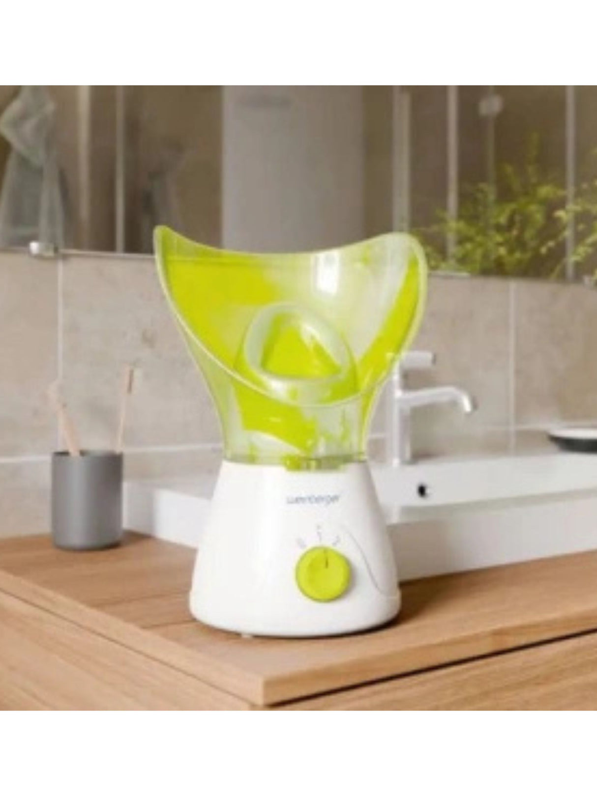 Professional Facial Sauna