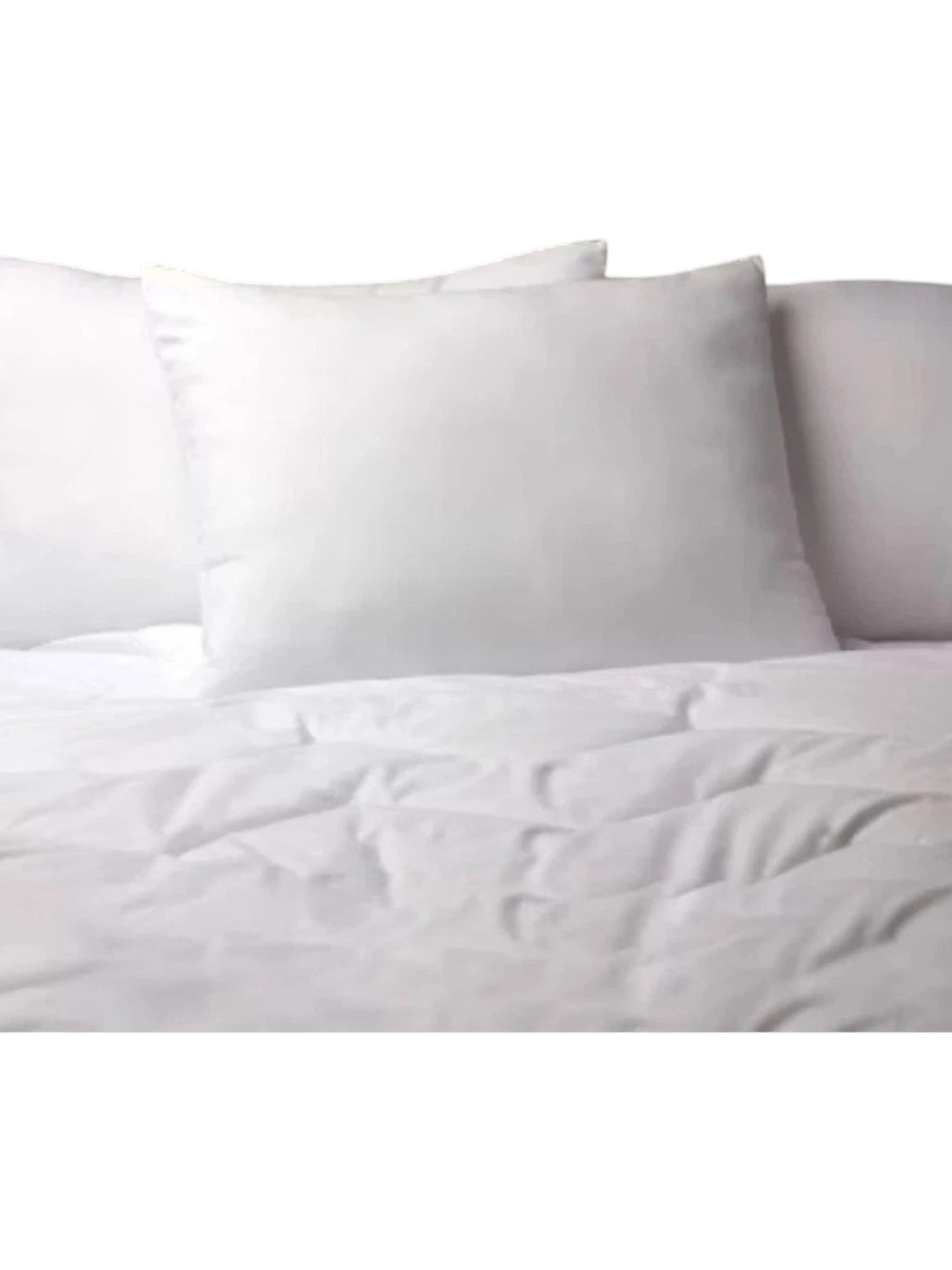 Bed Pillow