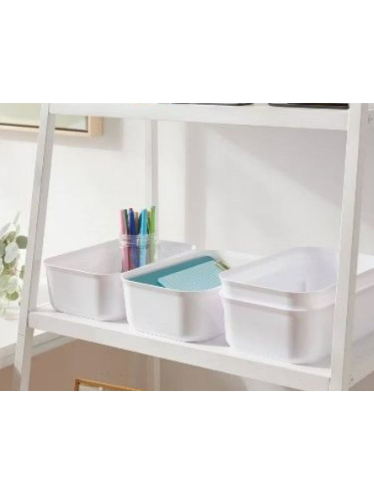 Storage Bins