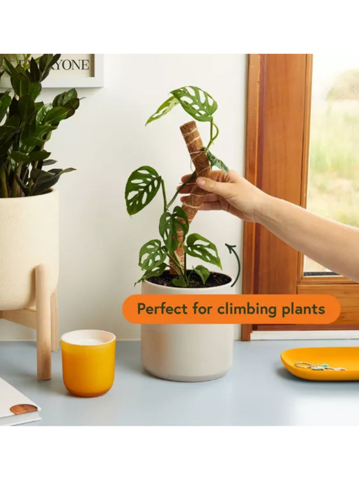 Plant Support