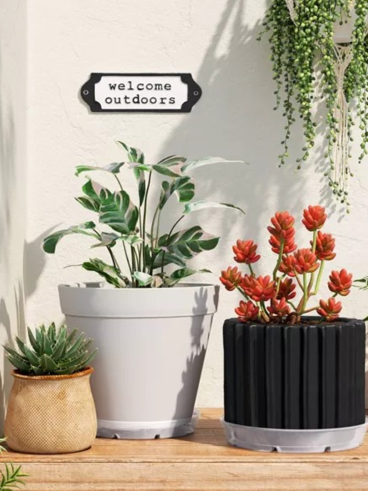 Plastic Planter Saucer Clear