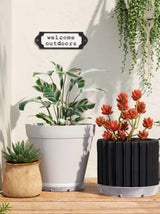 Plastic Planter Saucer Clear