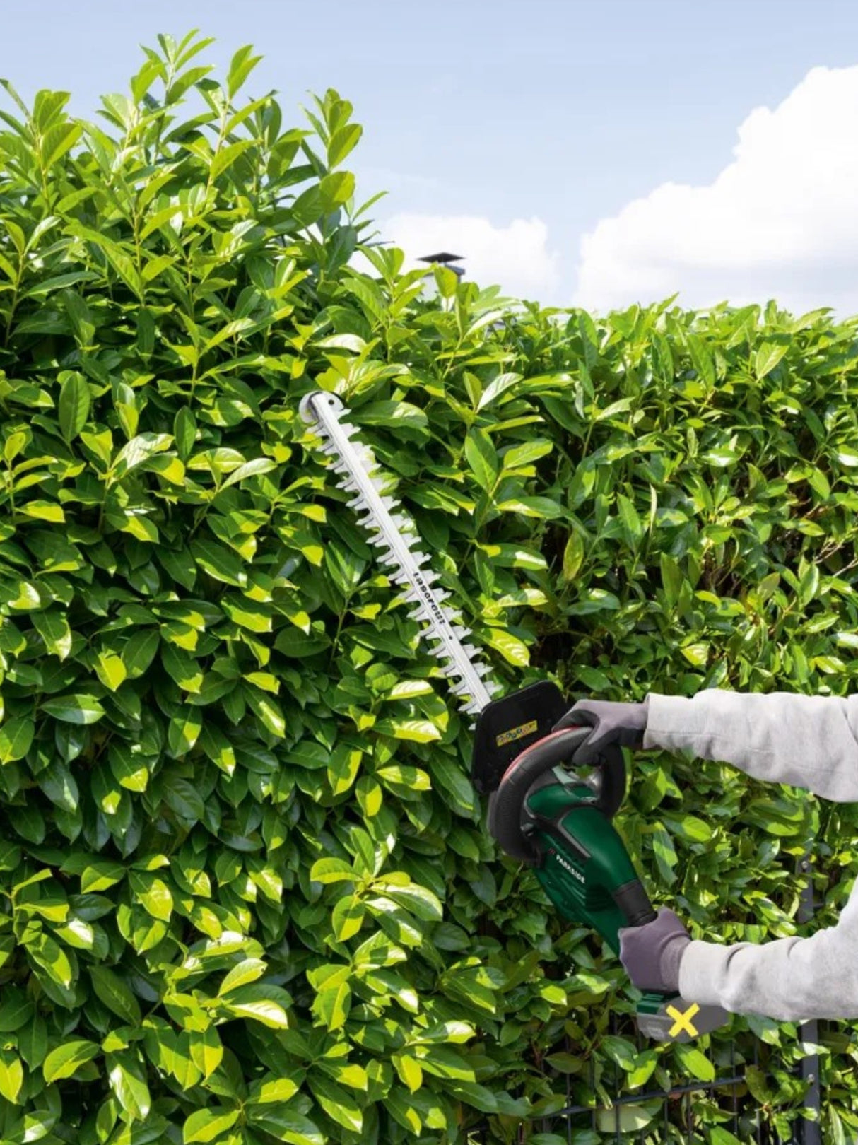 Cordless Hedge Trimmer 20V "Phsa 20-Li C3"