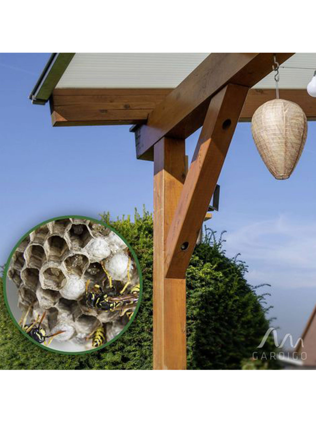 Wasp-Free Premium