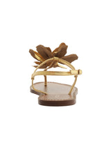 Women's Plain Bright Floral Sandals,Gold/Brown