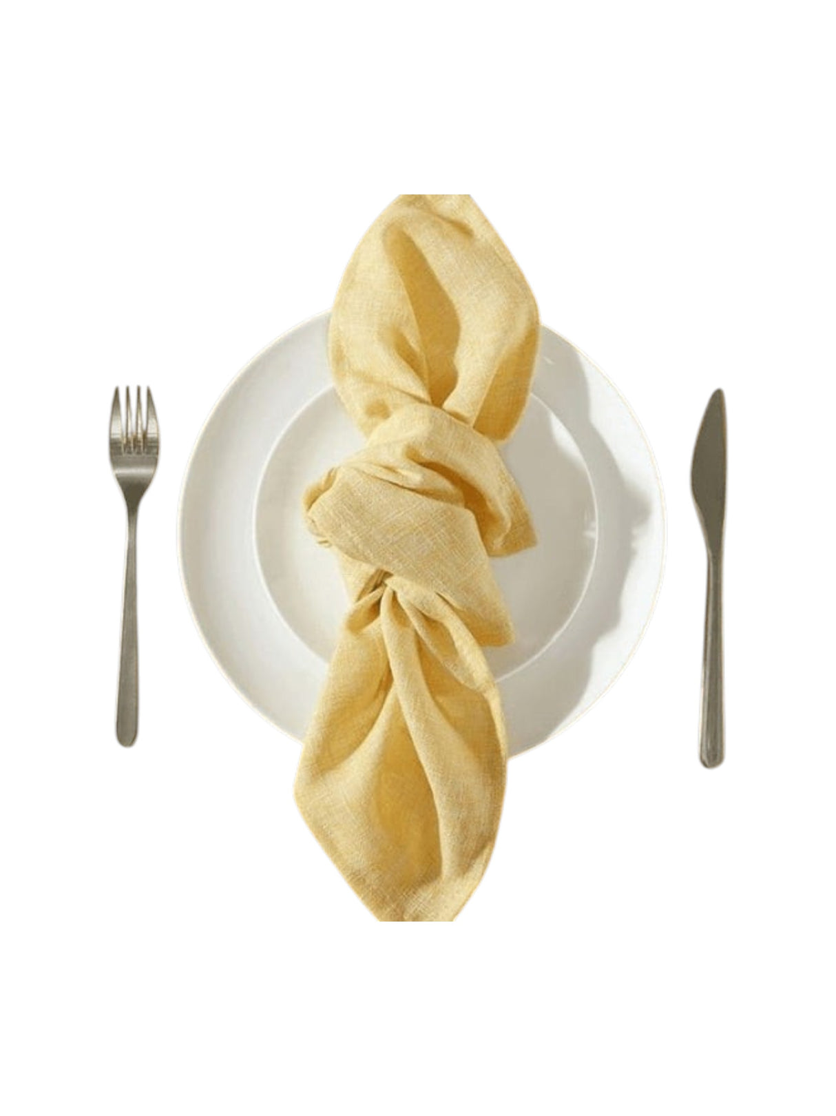 Cloth Napkins