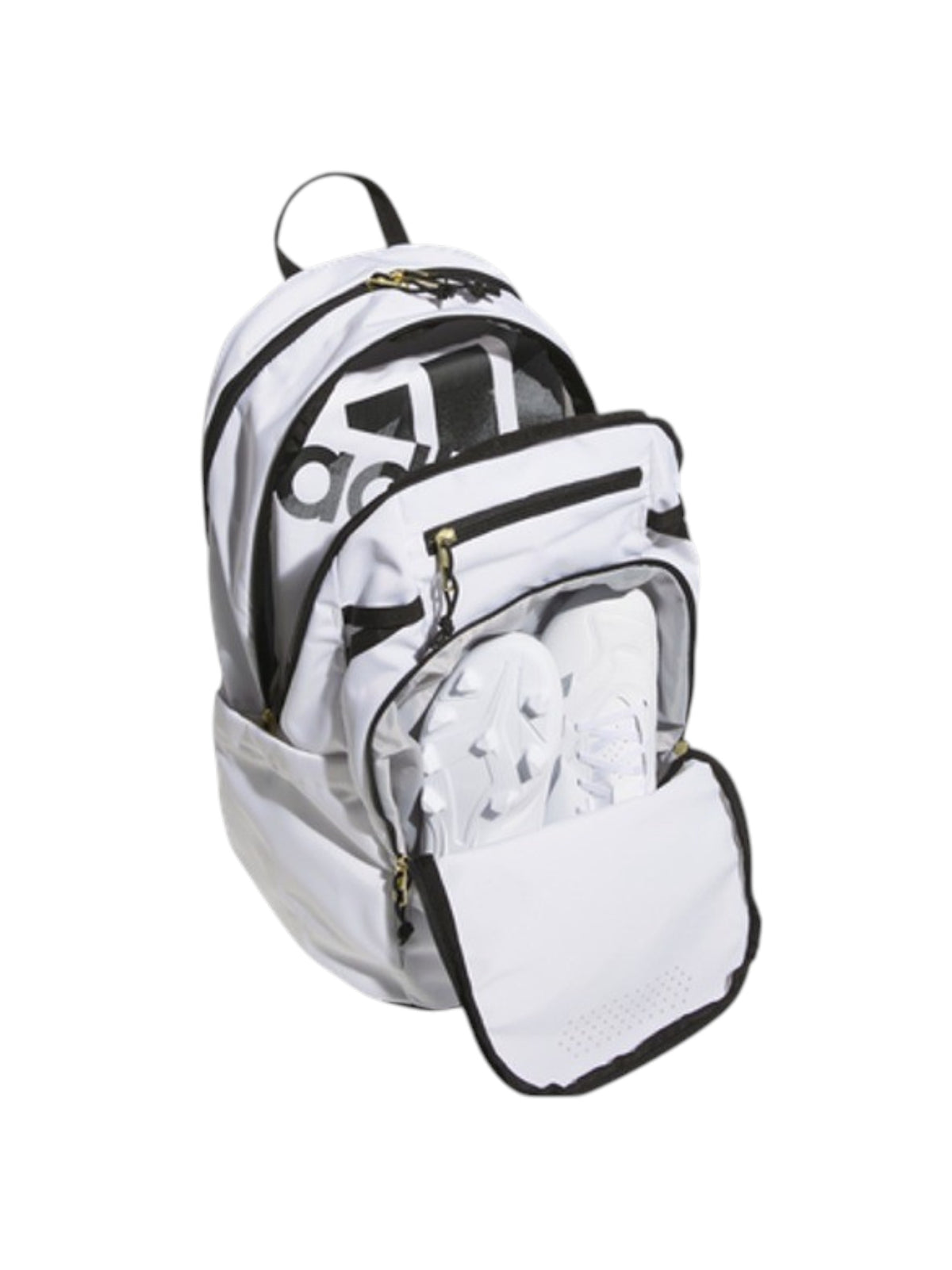 Back Pack