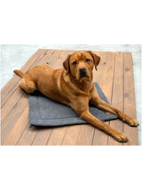 Pet Mat