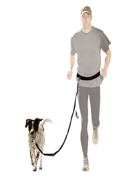 Zoofari Dog Leash (Running Leash With Belt)