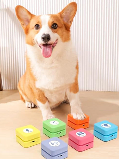 Pet Buzzer