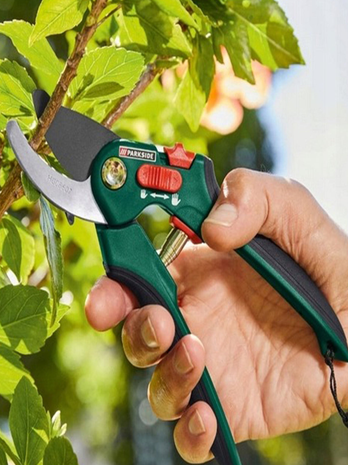 Pruning Shears