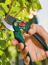 Pruning Shears