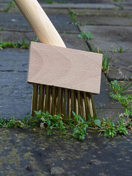Weeding Brush