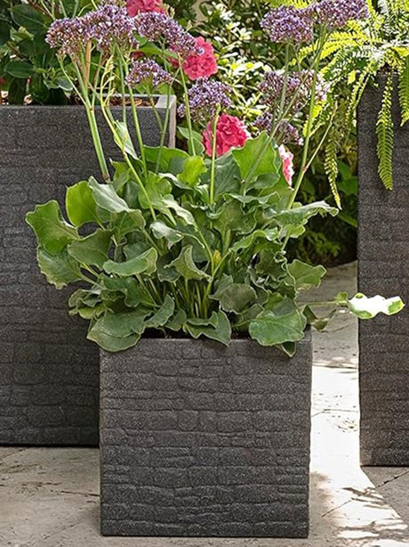 Planter