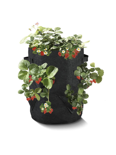 Strawberry Grow Bags