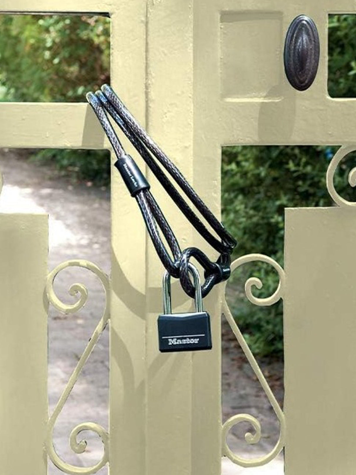 Security Cable