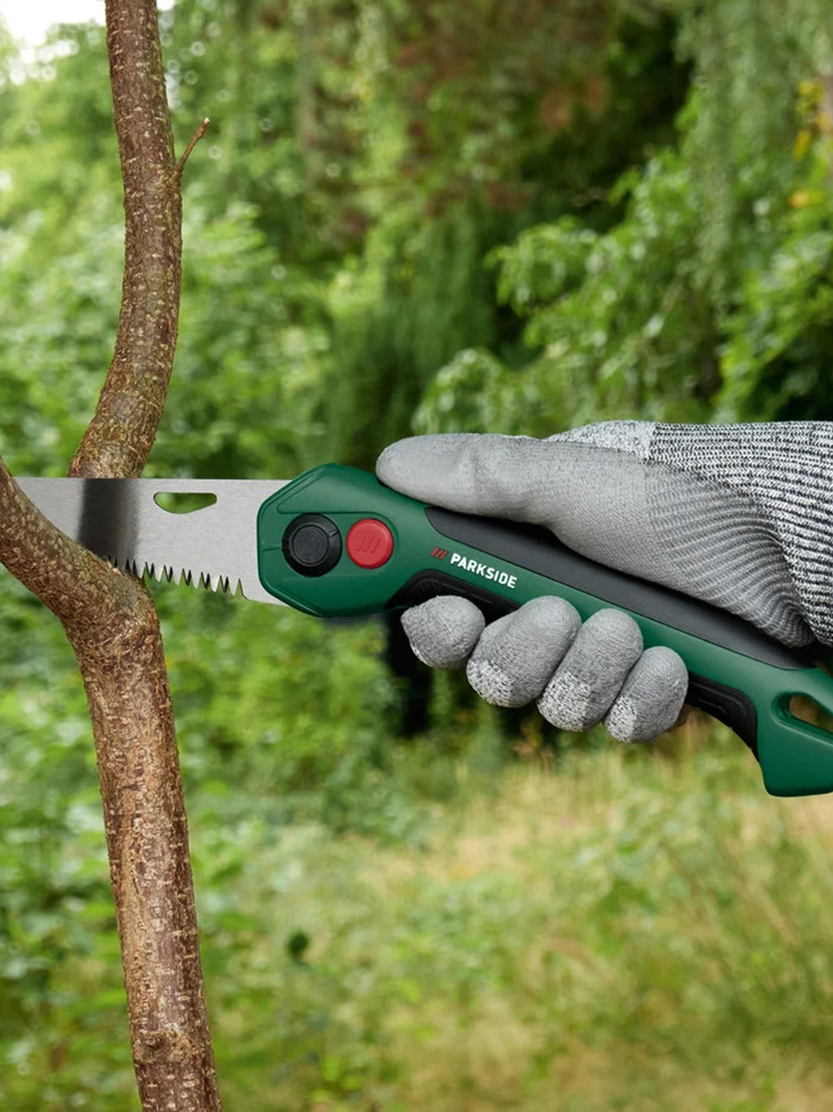 Pruning Saw