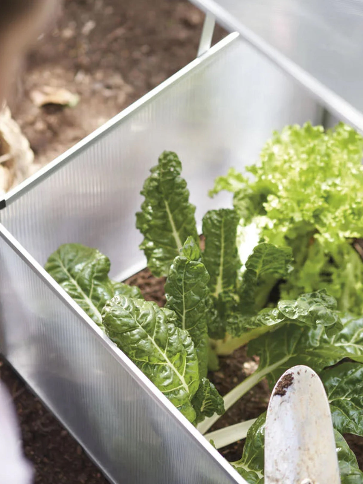 Mini Garden Greenhouse
