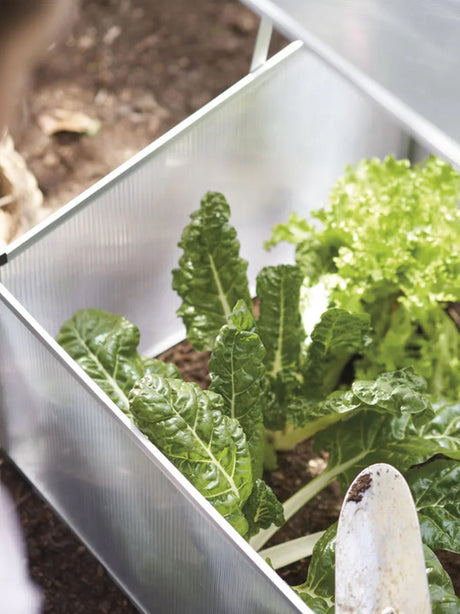 Mini Garden Greenhouse