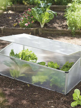 Mini Garden Greenhouse