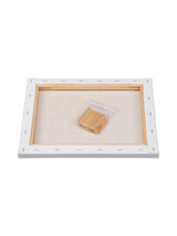 Canvas Set